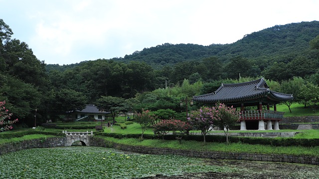 Korejské zahrady